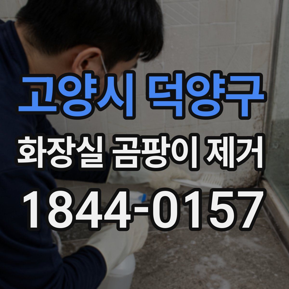 고양시 덕양구 화장실 곰팡이 제거