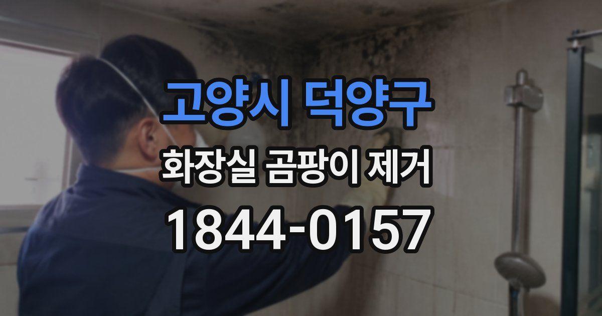 고양시 덕양구 화장실 곰팡이 제거