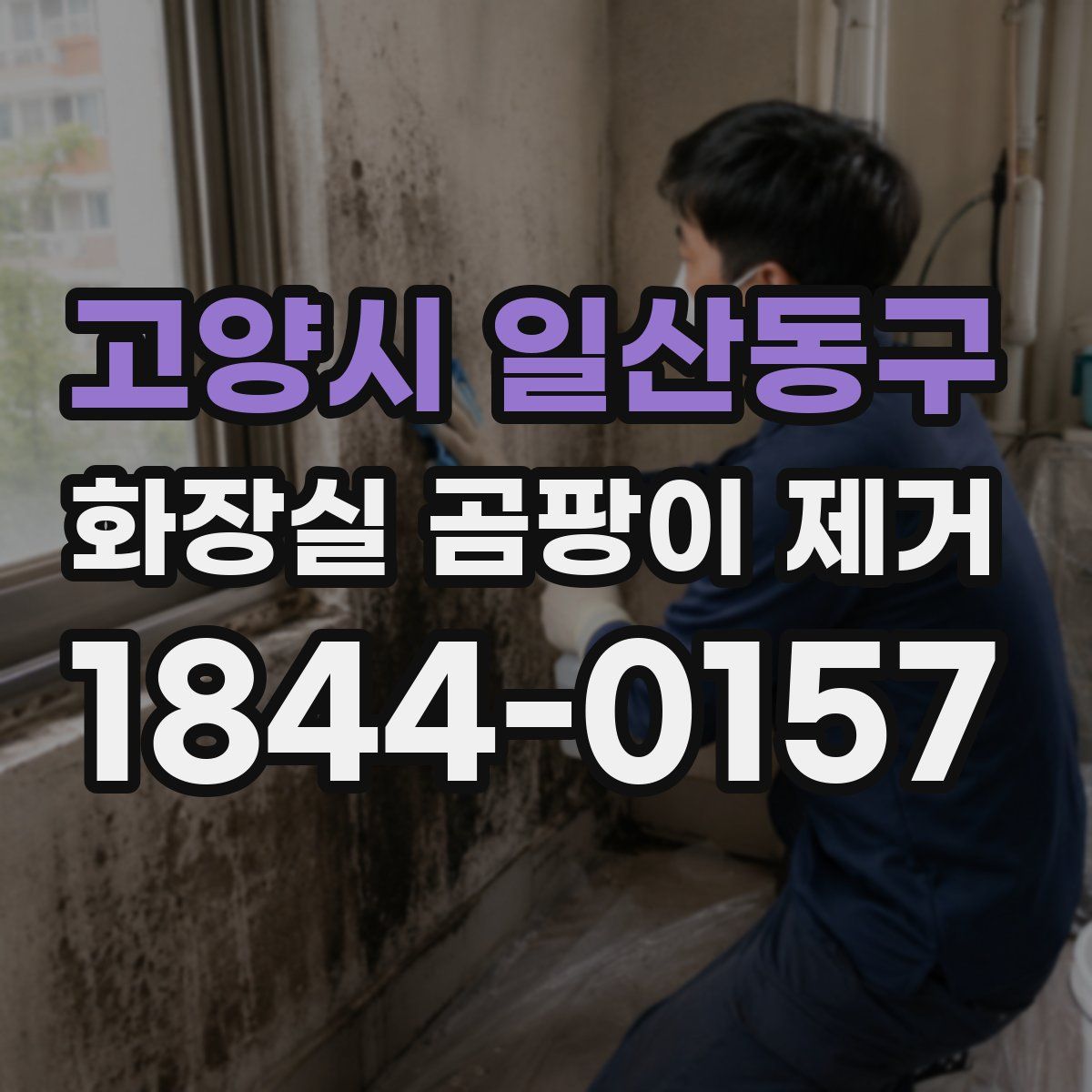 고양시 일산동구 화장실 곰팡이 제거