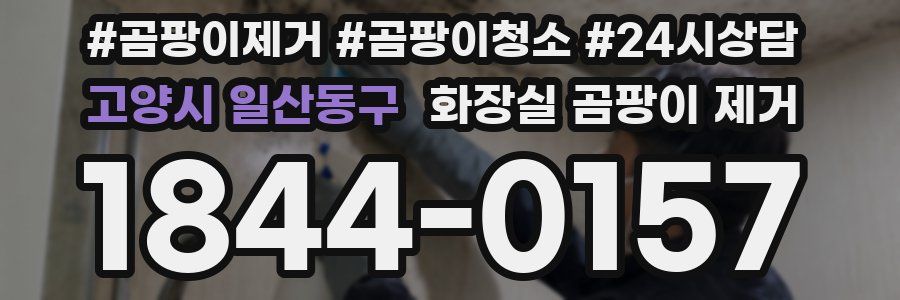 고양시 일산동구 화장실 곰팡이 제거