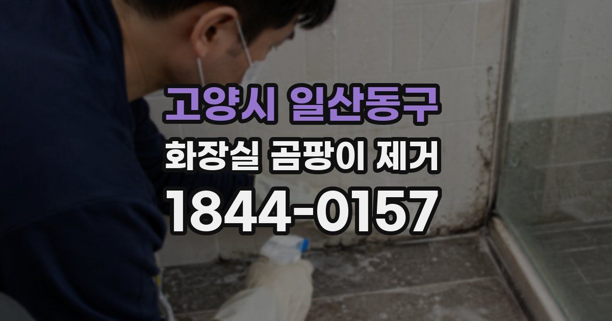 고양시 일산동구 화장실 곰팡이 제거