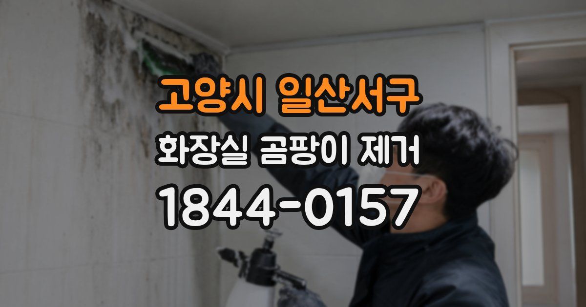 고양시 일산서구 화장실 곰팡이 제거