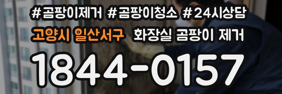 고양시 일산서구 화장실 곰팡이 제거