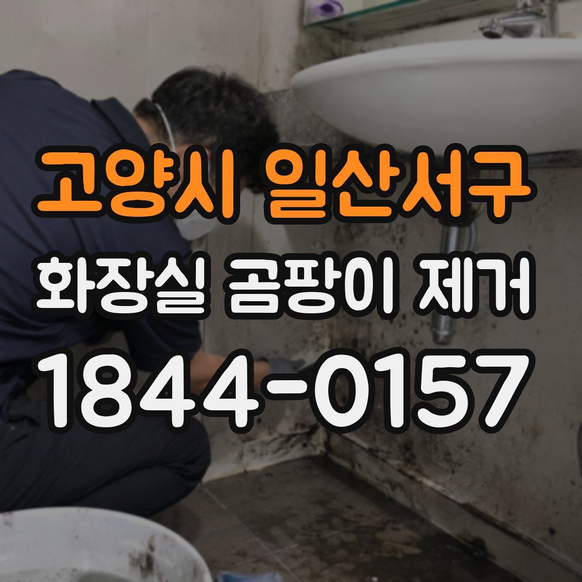 고양시 일산서구 화장실 곰팡이 제거