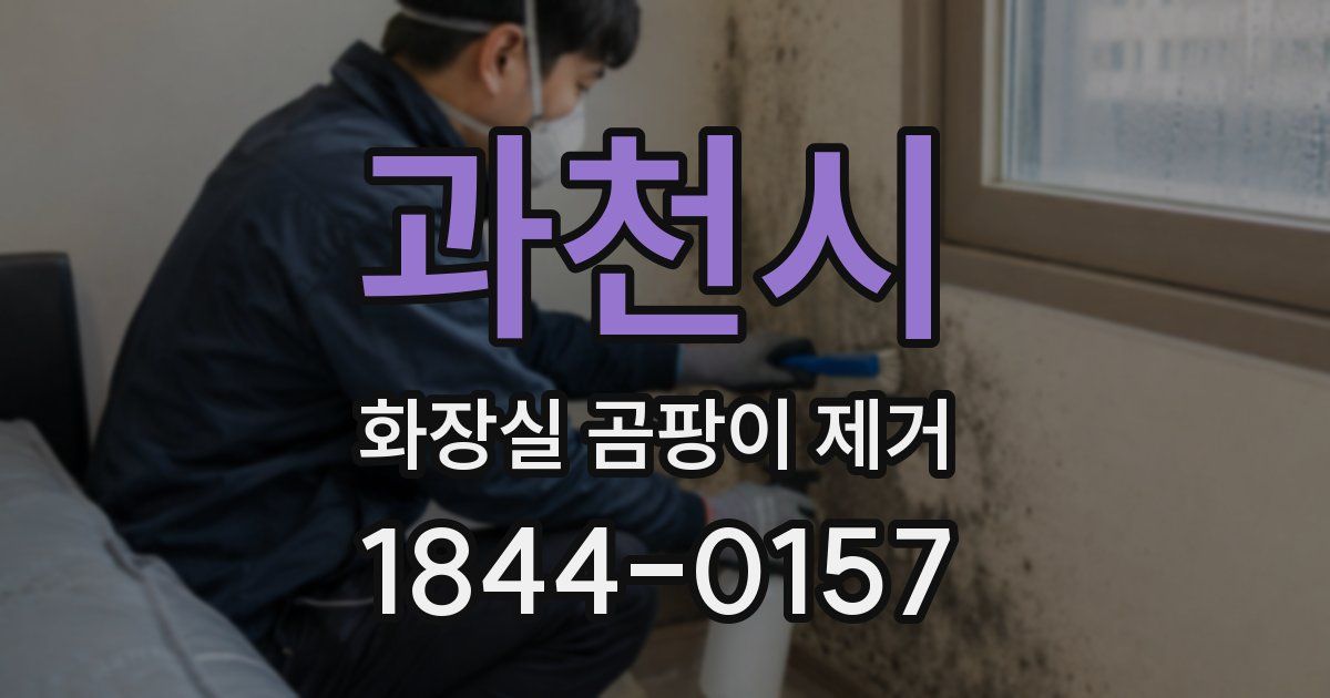 과천시 화장실 곰팡이 제거