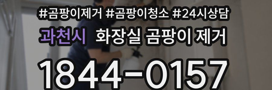 과천시 화장실 곰팡이 제거