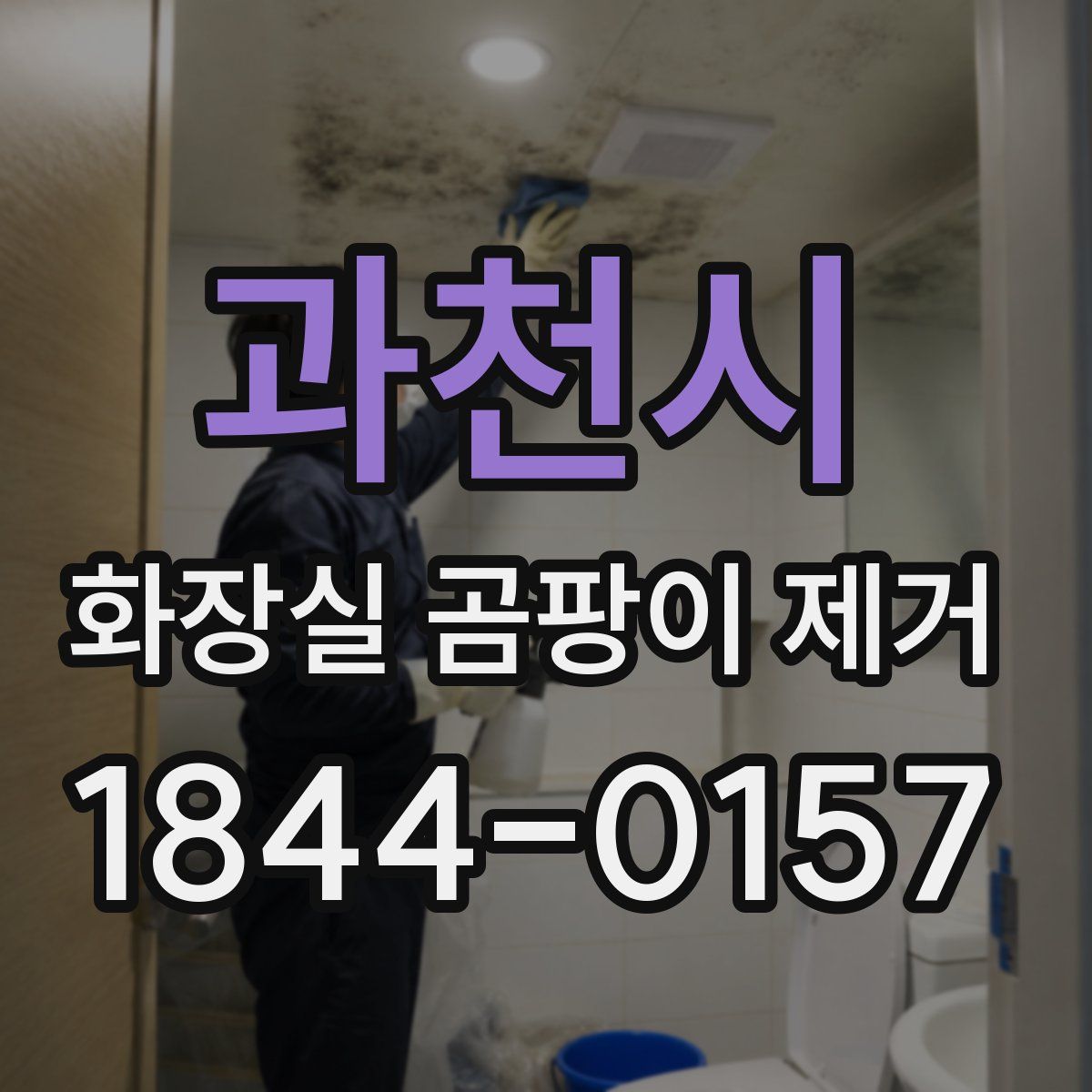 과천시 화장실 곰팡이 제거