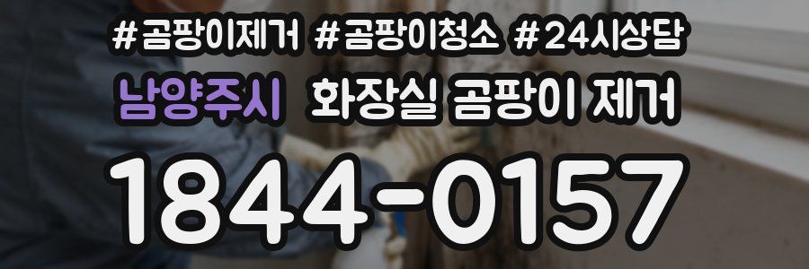 남양주시 화장실 곰팡이 제거