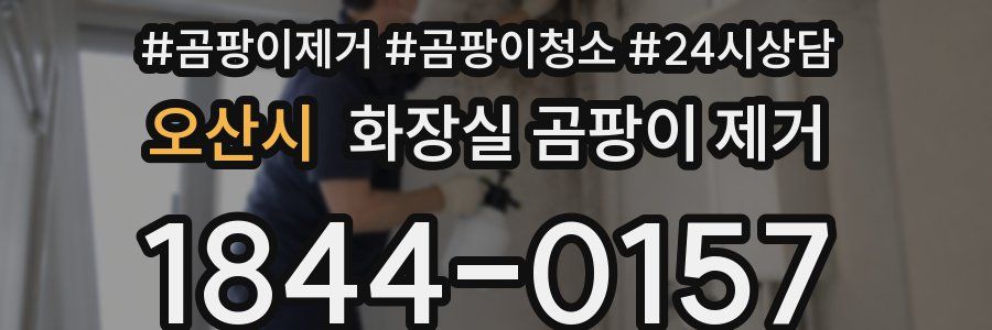 오산시 화장실 곰팡이 제거