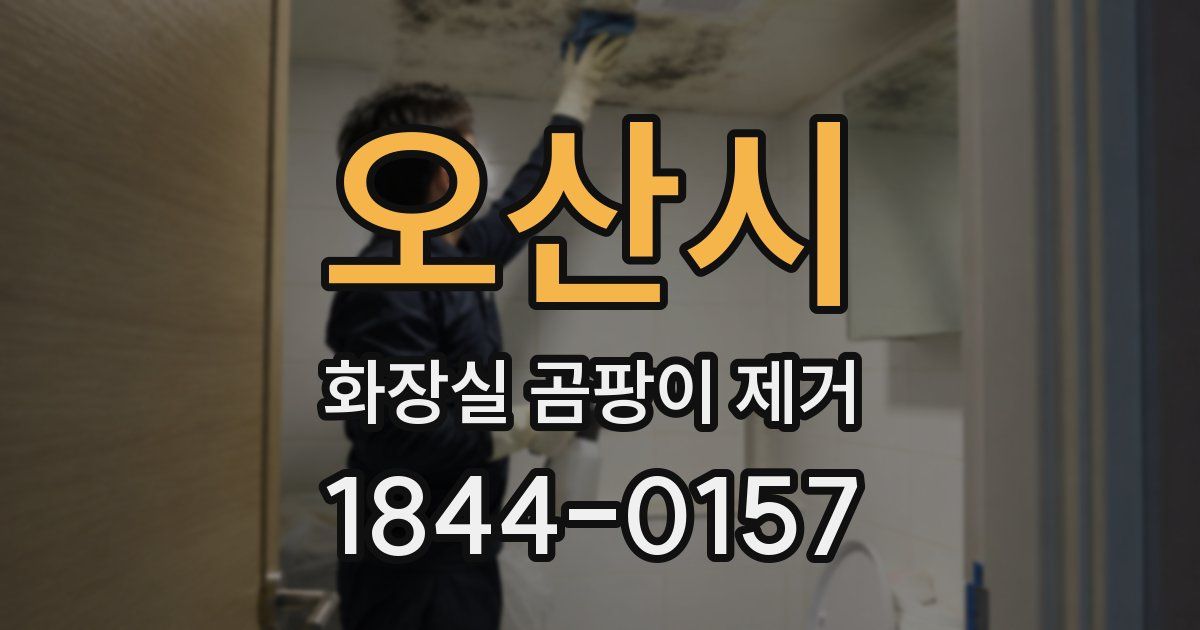 오산시 화장실 곰팡이 제거