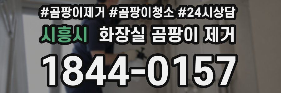 시흥시 화장실 곰팡이 제거
