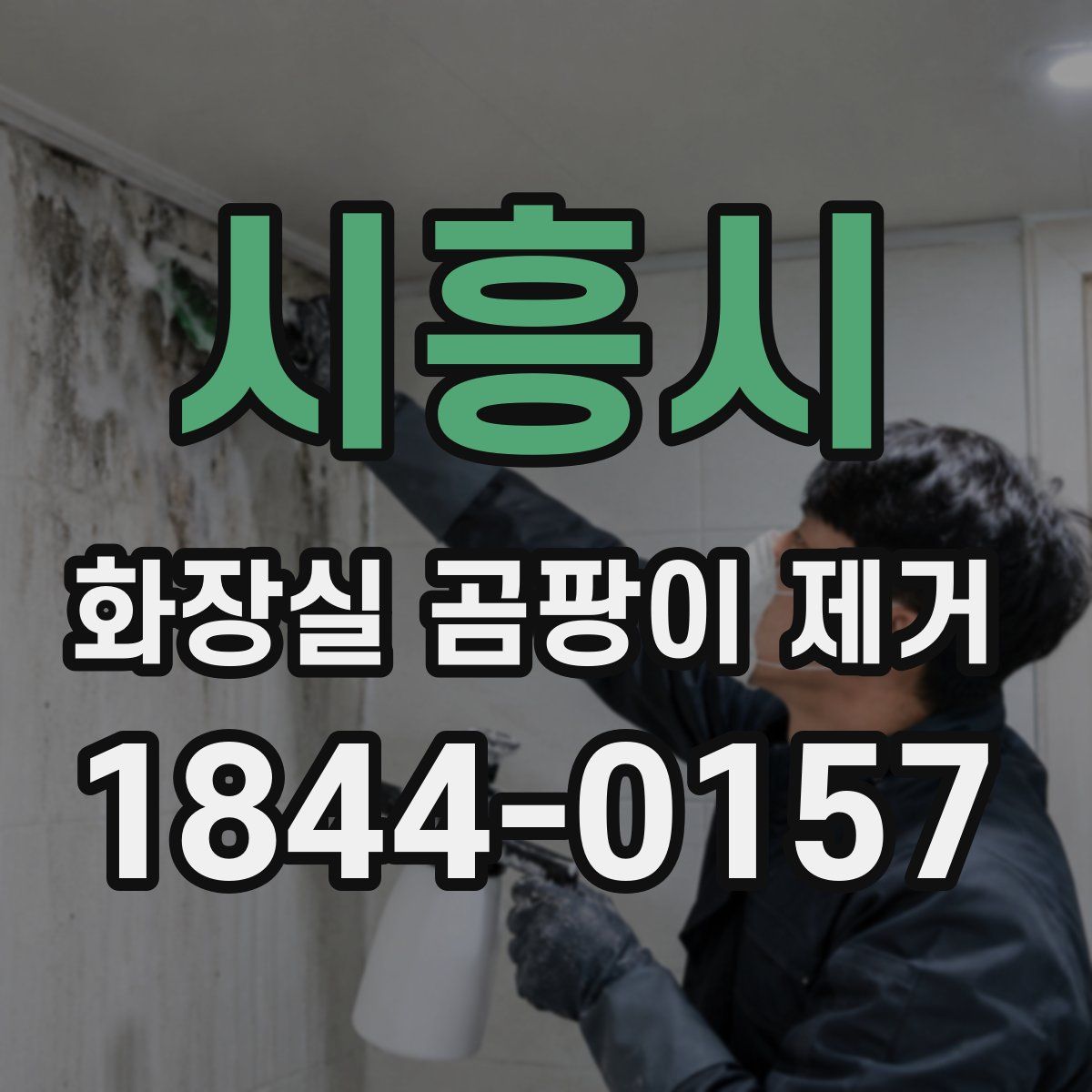 시흥시 화장실 곰팡이 제거