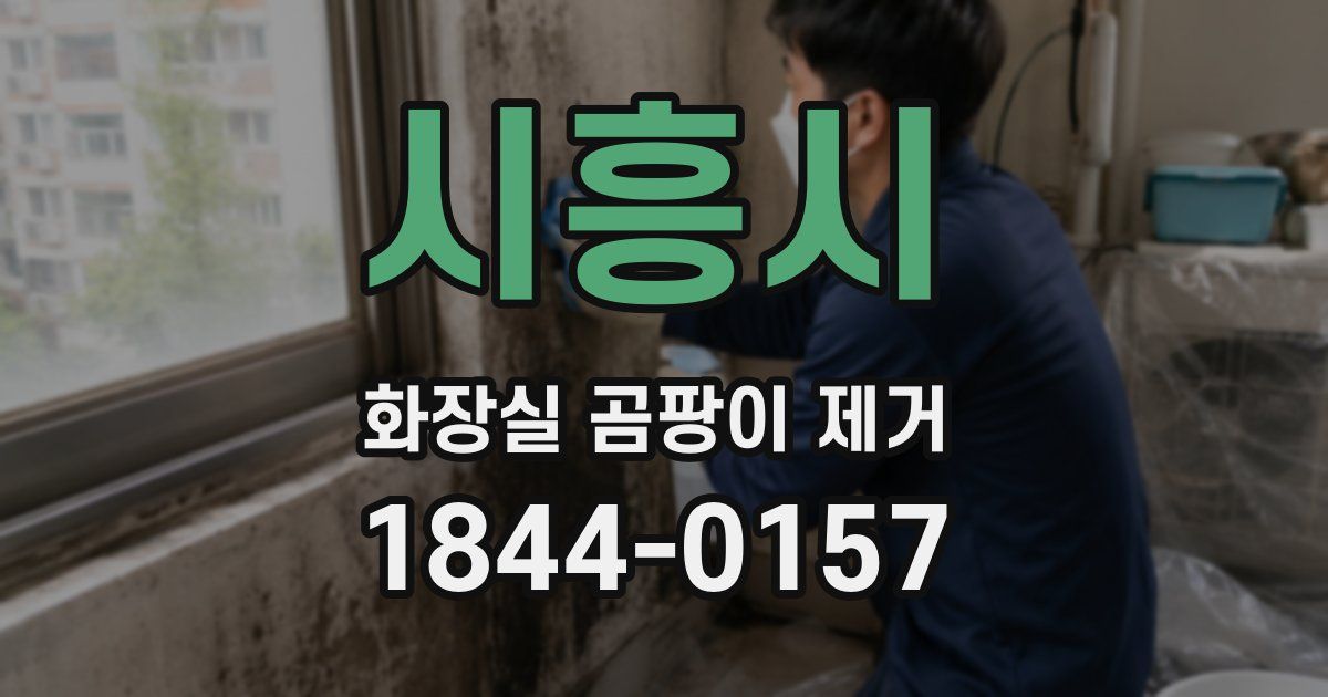 시흥시 화장실 곰팡이 제거