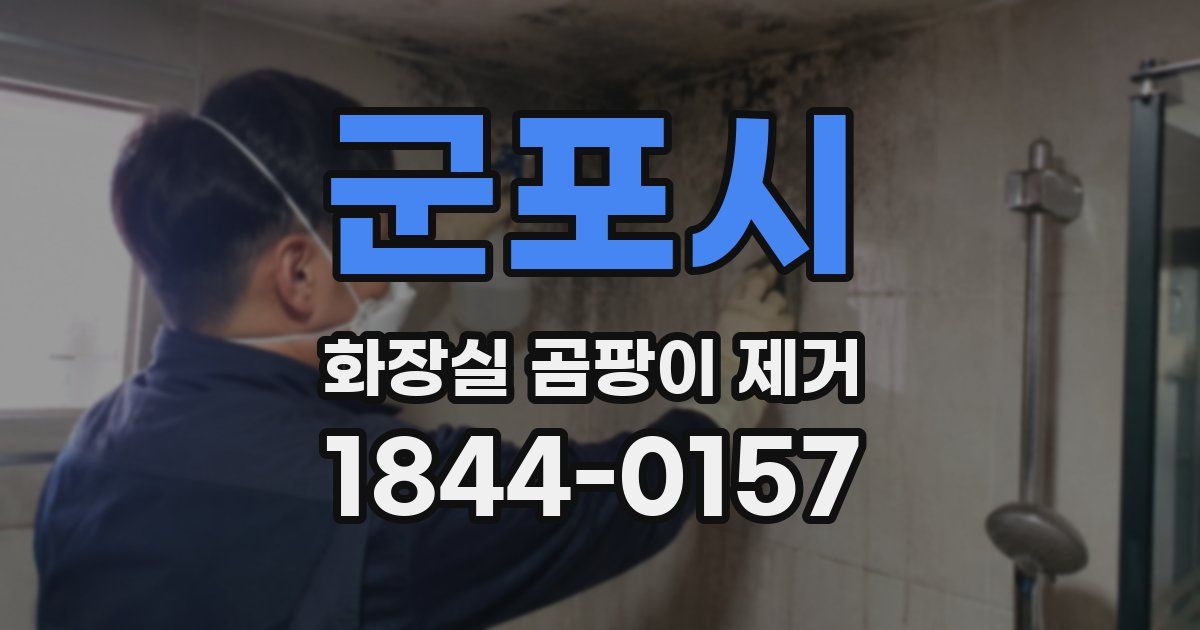 군포시 화장실 곰팡이 제거