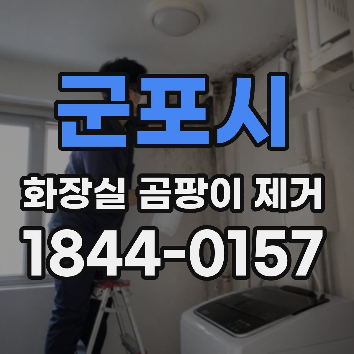 군포시 화장실 곰팡이 제거