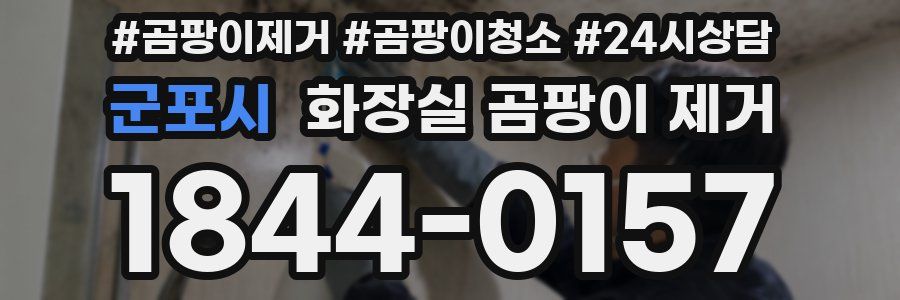 군포시 화장실 곰팡이 제거
