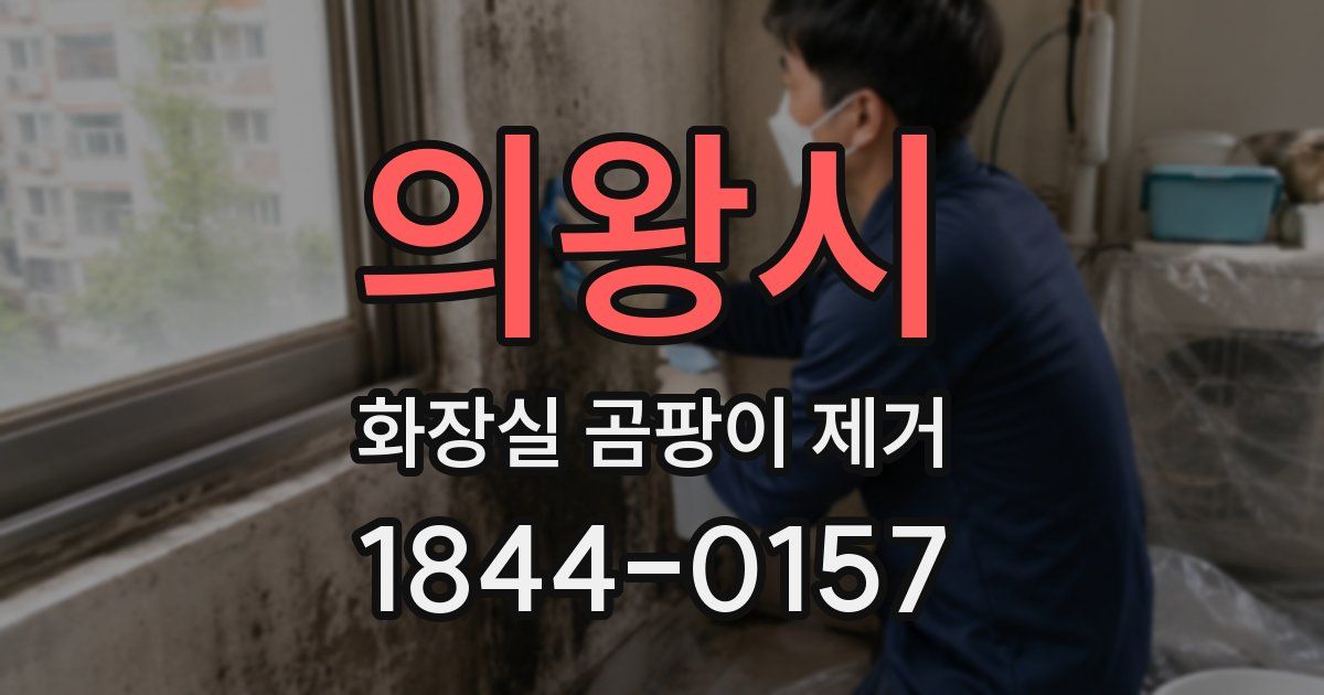 의왕시 화장실 곰팡이 제거