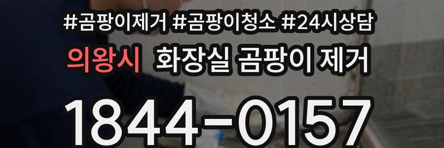 의왕시 화장실 곰팡이 제거