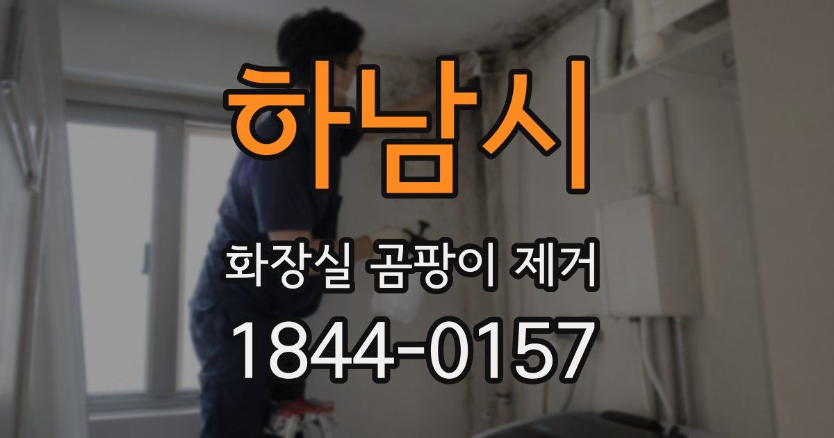 하남시 화장실 곰팡이 제거
