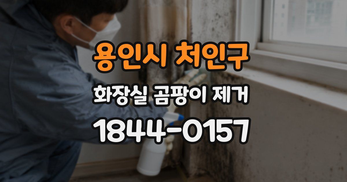 용인시 처인구 화장실 곰팡이 제거