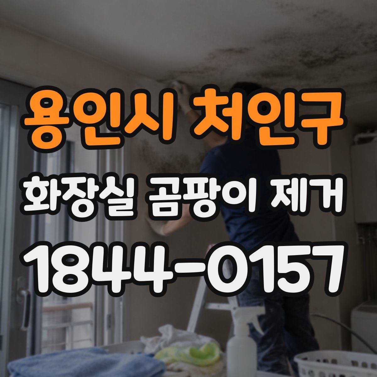용인시 처인구 화장실 곰팡이 제거