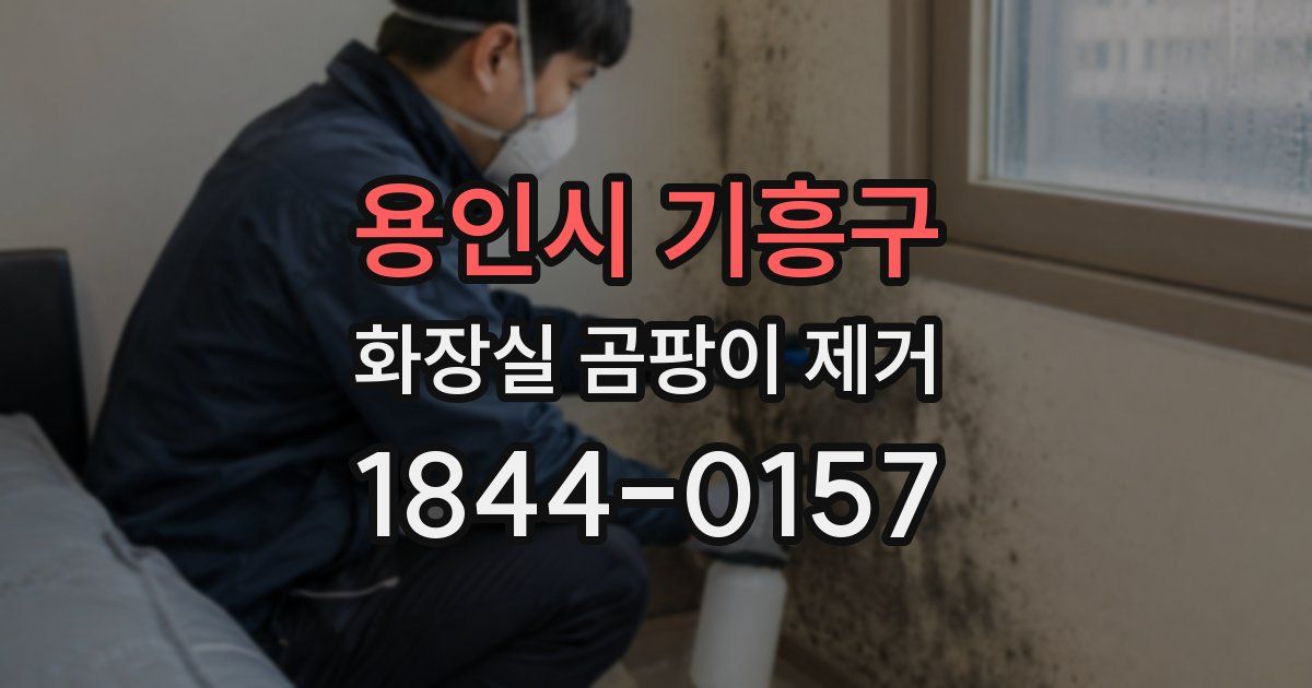용인시 기흥구 화장실 곰팡이 제거