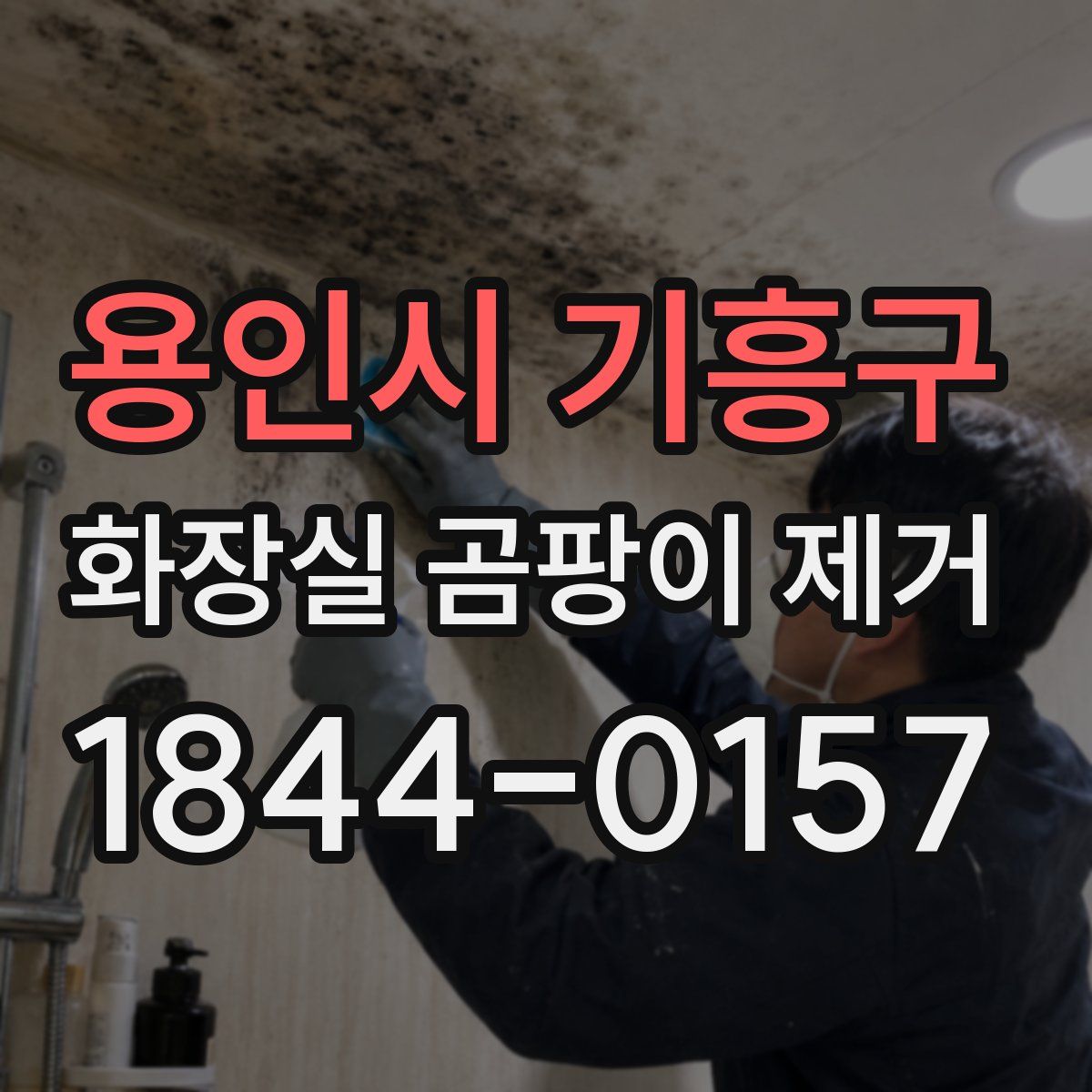 용인시 기흥구 화장실 곰팡이 제거