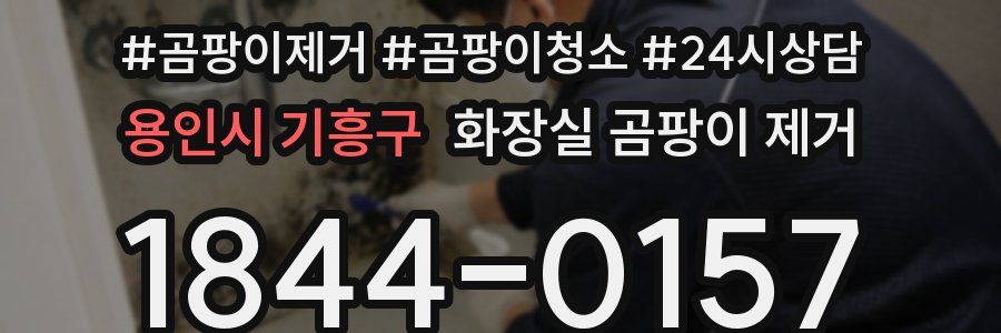 용인시 기흥구 화장실 곰팡이 제거