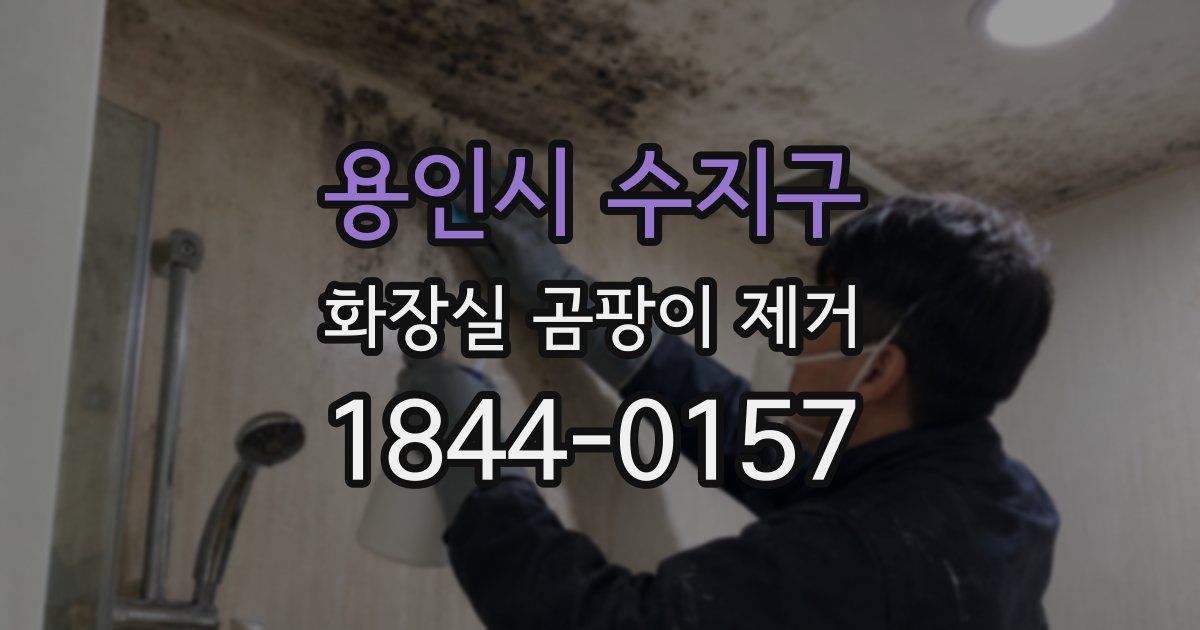 용인시 수지구 화장실 곰팡이 제거