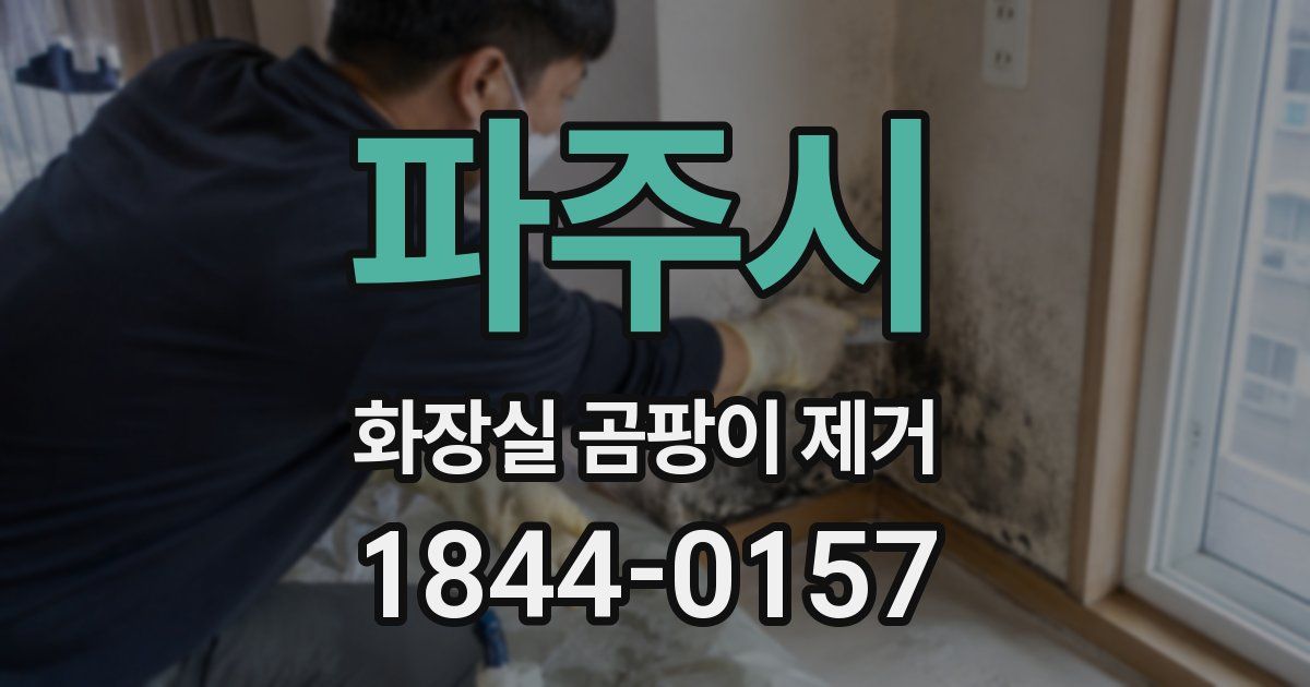 파주시 화장실 곰팡이 제거