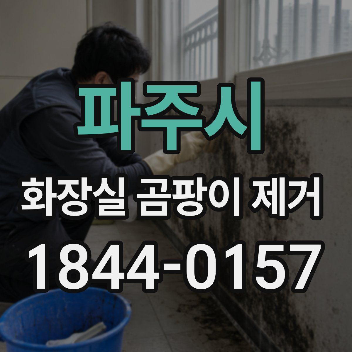 파주시 화장실 곰팡이 제거