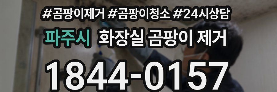 파주시 화장실 곰팡이 제거