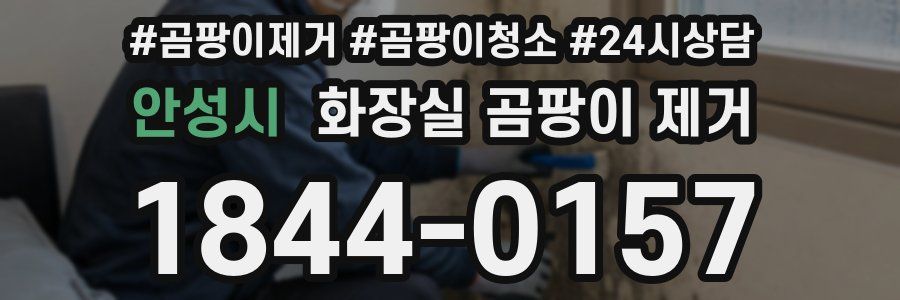 안성시 화장실 곰팡이 제거