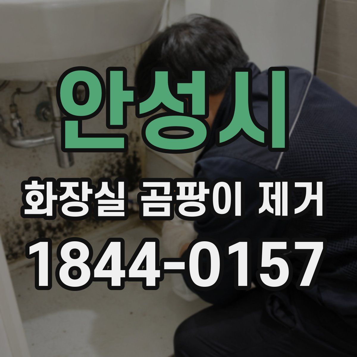 안성시 화장실 곰팡이 제거