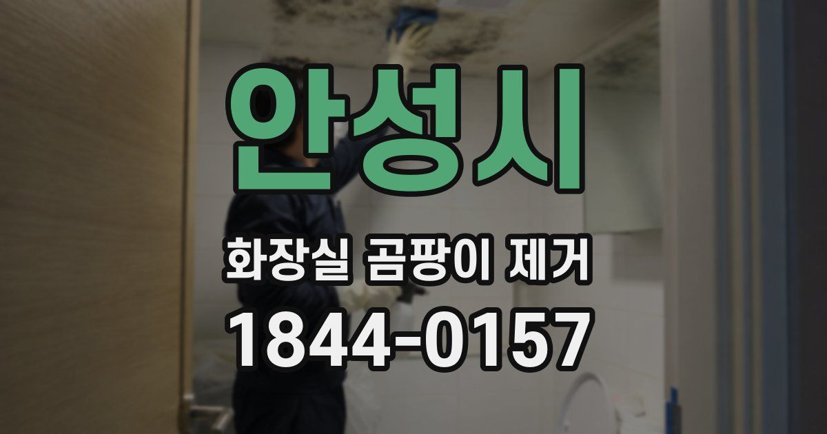 안성시 화장실 곰팡이 제거