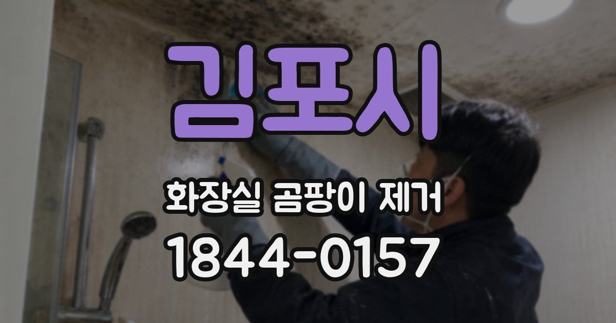 김포시 화장실 곰팡이 제거