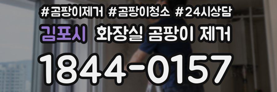 김포시 화장실 곰팡이 제거