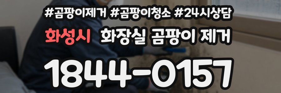 화성시 화장실 곰팡이 제거
