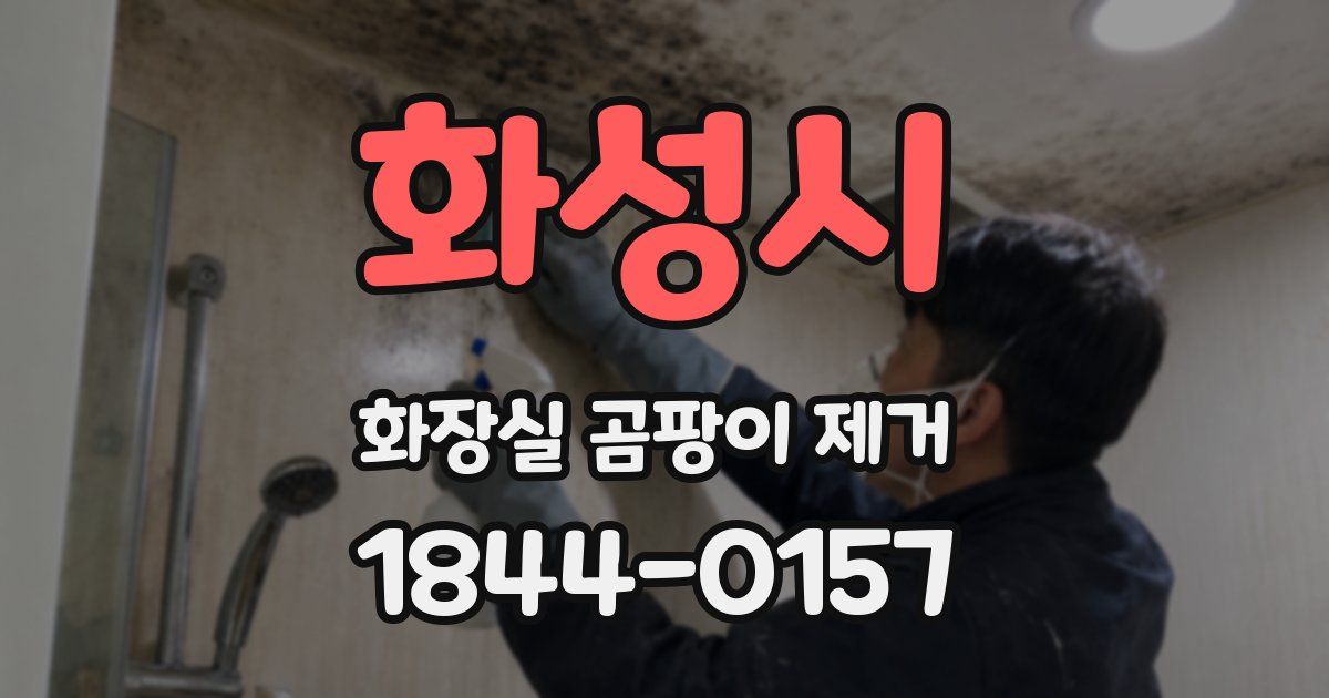 화성시 화장실 곰팡이 제거
