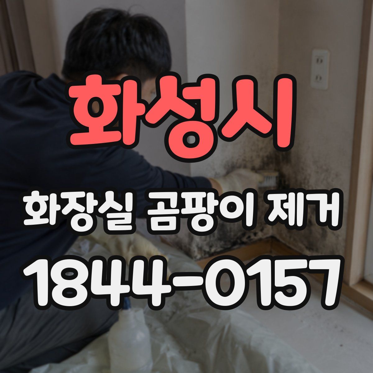 화성시 화장실 곰팡이 제거