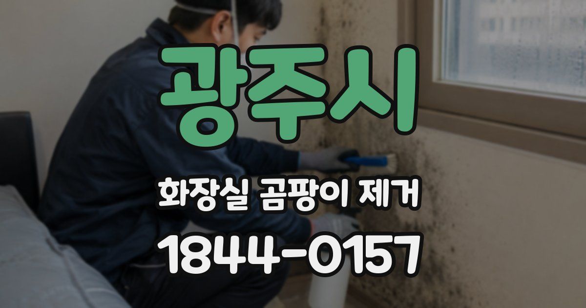 광주시 화장실 곰팡이 제거