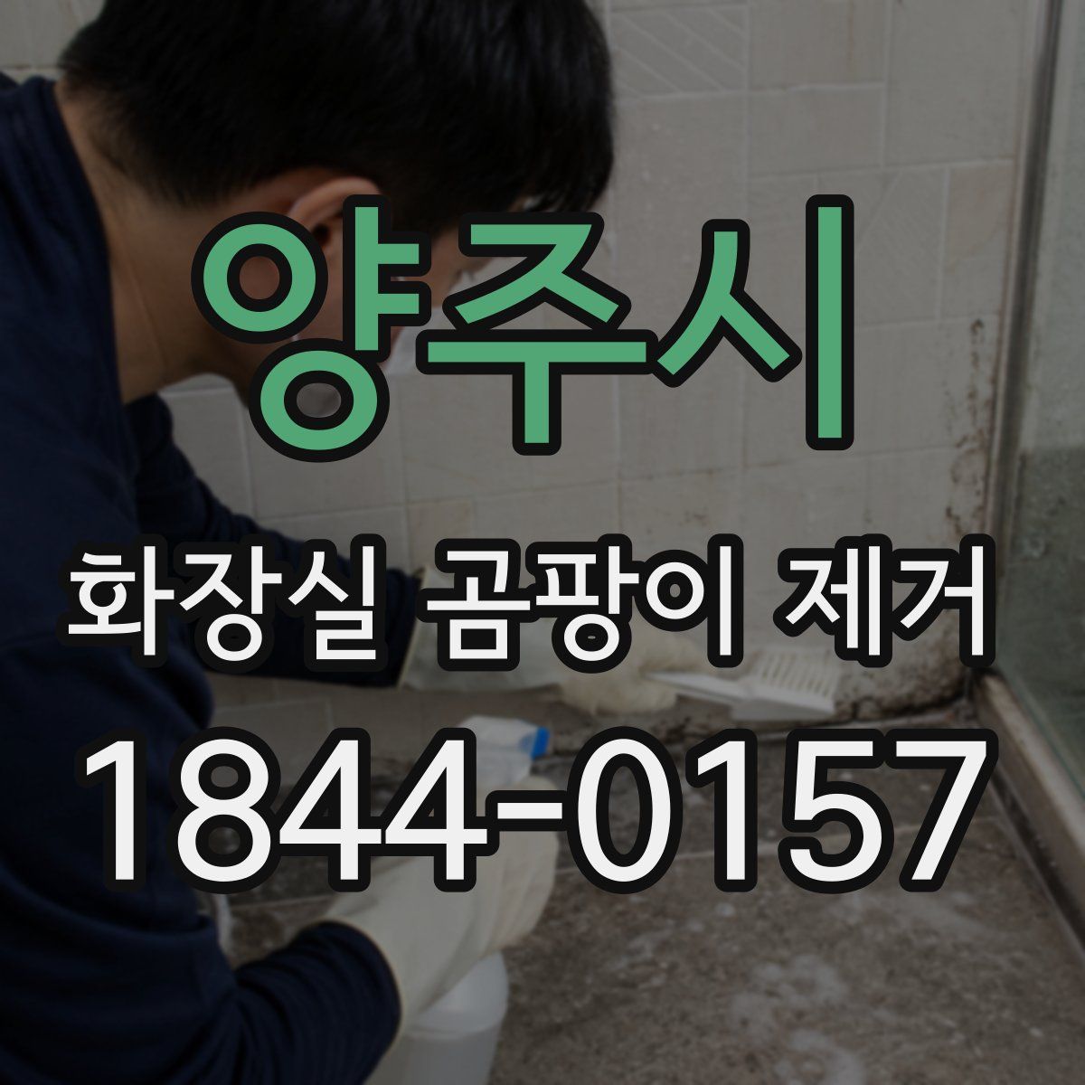 양주시 화장실 곰팡이 제거