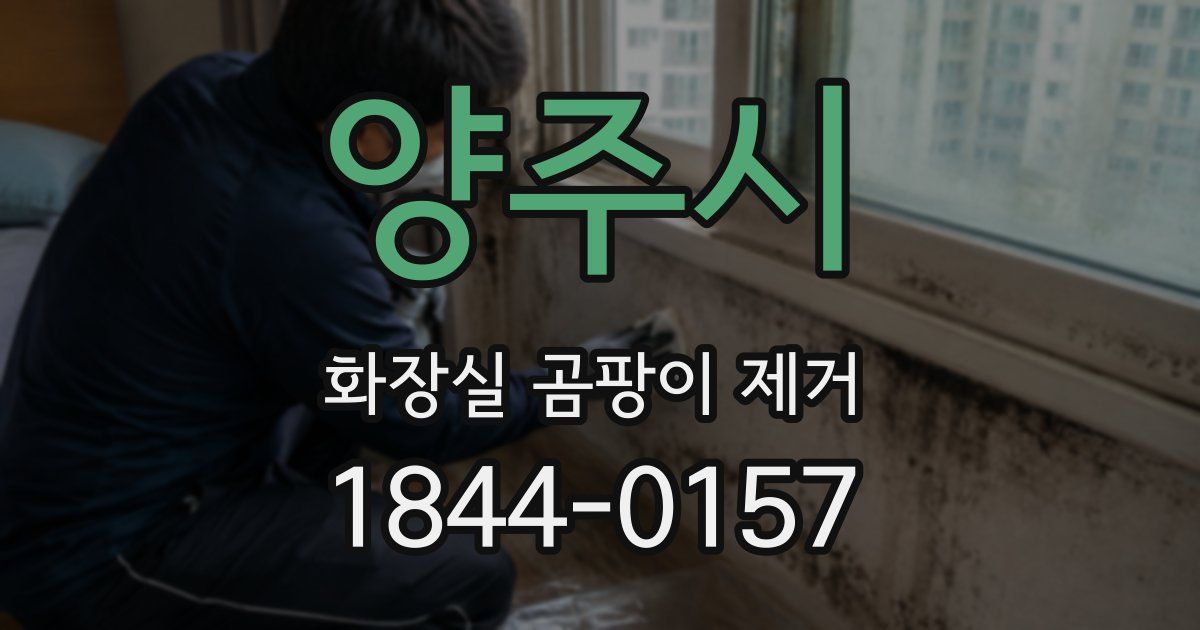 양주시 화장실 곰팡이 제거