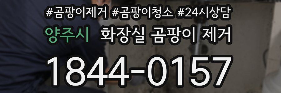 양주시 화장실 곰팡이 제거