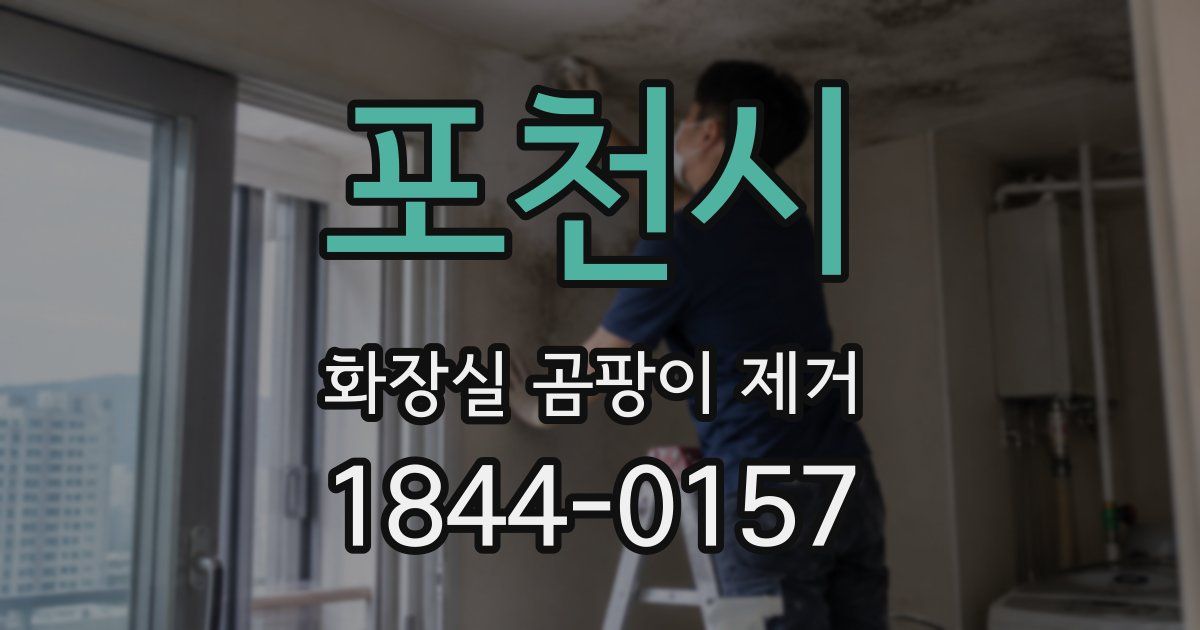 포천시 화장실 곰팡이 제거