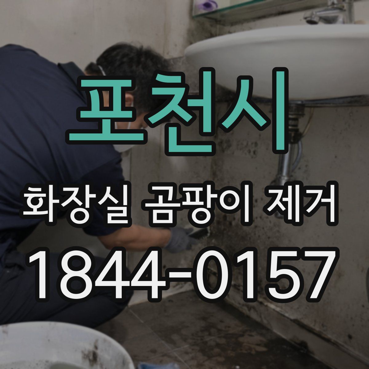 포천시 화장실 곰팡이 제거