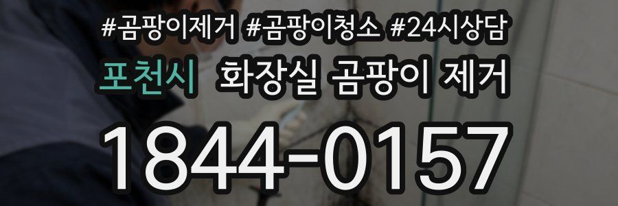 포천시 화장실 곰팡이 제거
