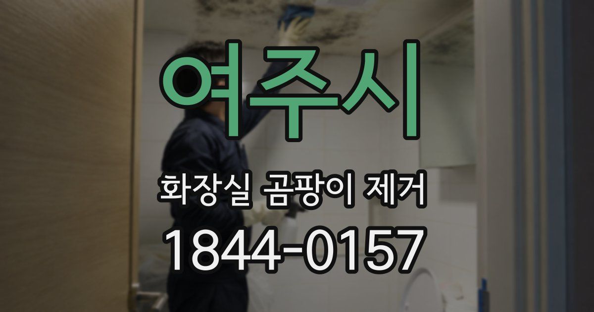 여주시 화장실 곰팡이 제거