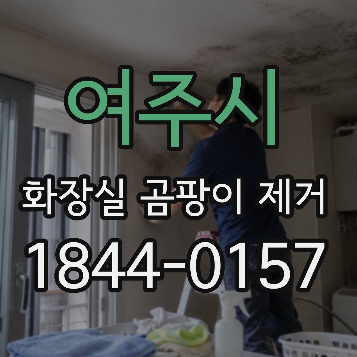 여주시 화장실 곰팡이 제거