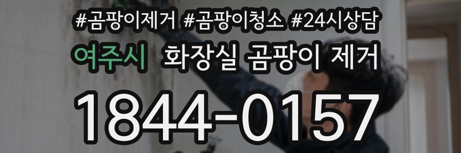 여주시 화장실 곰팡이 제거